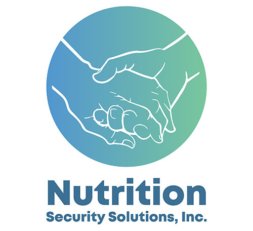 NSS Inc. logo
